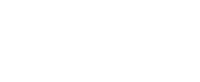 Wyser-Executive Search-Romania